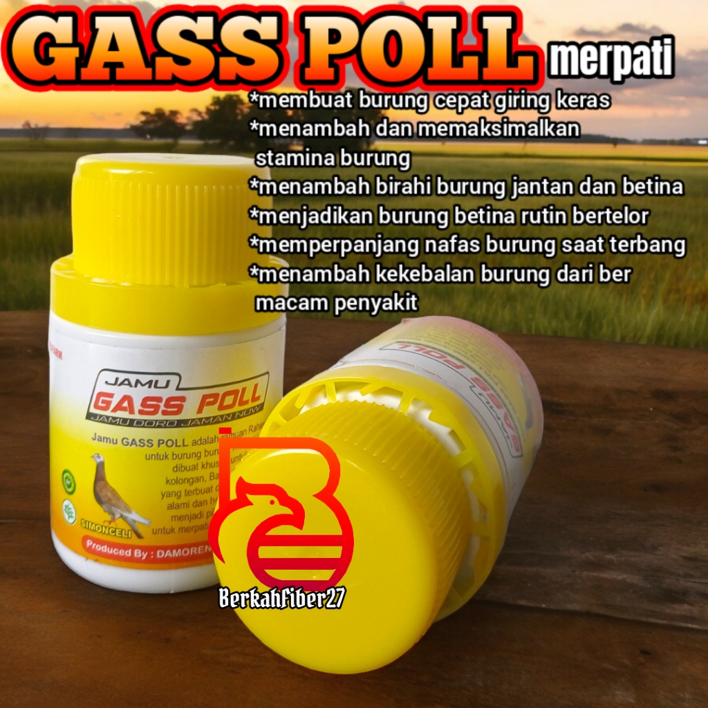 JAMU MERPATI GASPOL JAMU HERBAL GASS POLL JAMU MERPATI KOLONG  BALAP MEJAAN pil gass poll gasspoll m