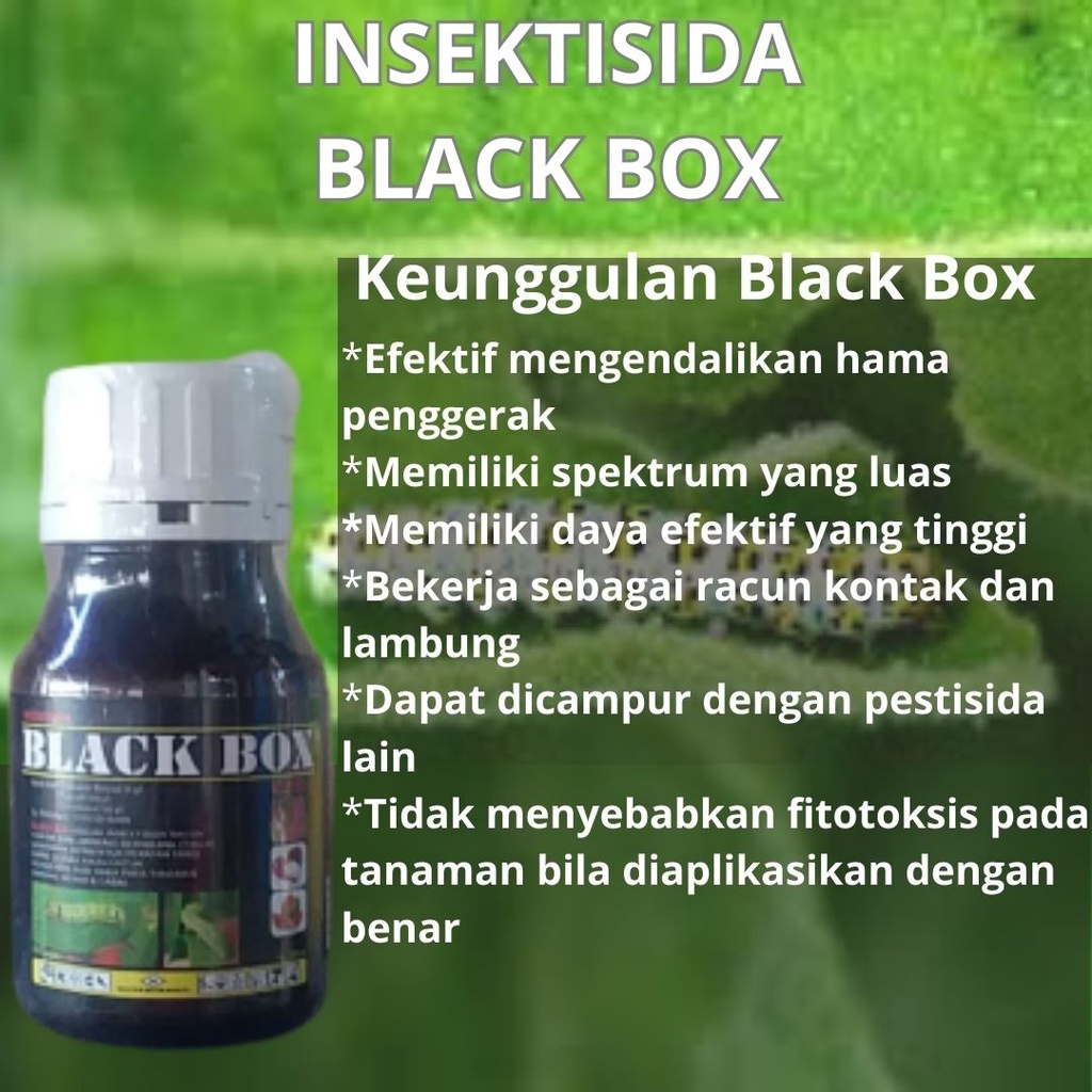 insektisida black box  pembasmi ulat pada cabai dan tanaman Insektisida Obat Hama Ulat 250 ml