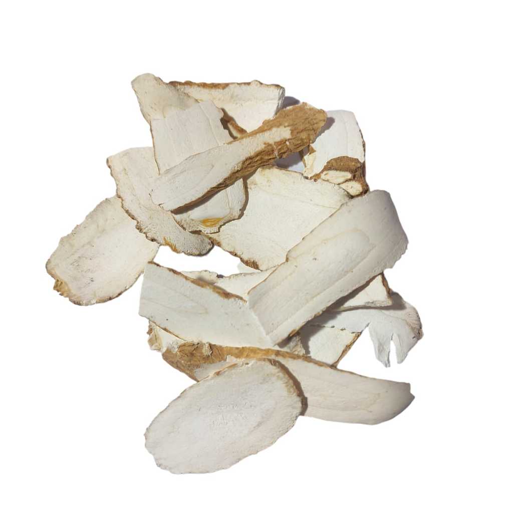 

100gram Bai zhi pek chi 白芷片 radix angelicae dahuricae dahurian angelica root