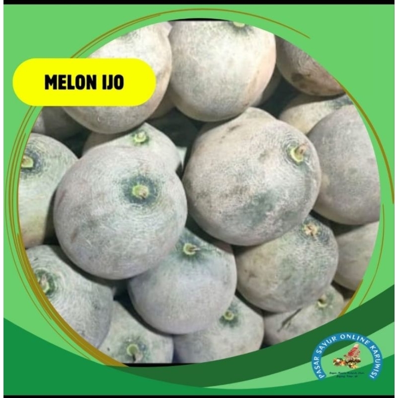 

buah melon ijo murah