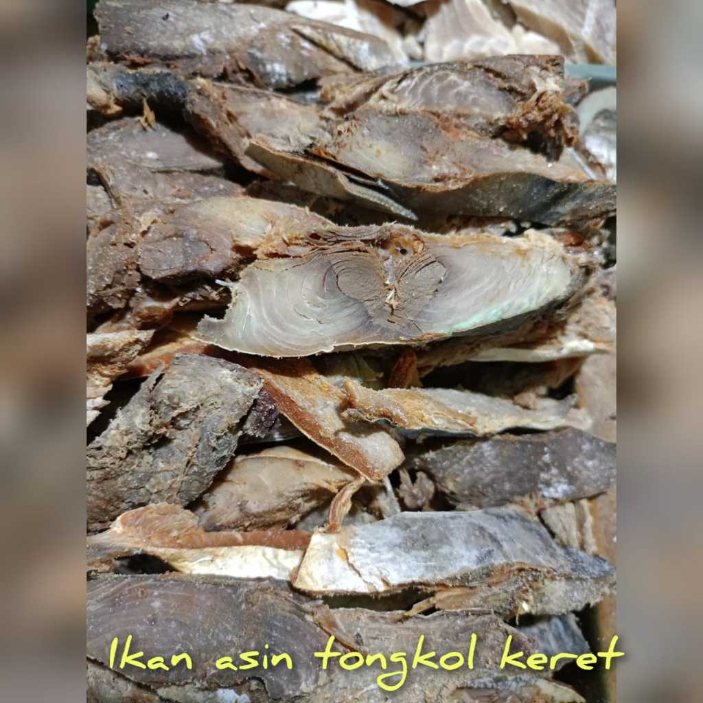 

Ikan Asin Keret Tongkol Asli Kualitas Rasa Kuat, Enak, Mantap