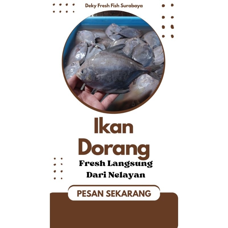 

Ikan Dorang Segar 1 kg