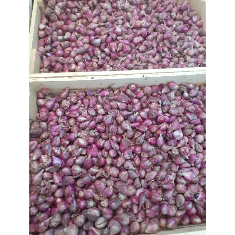 

Bawang Merah 500gr