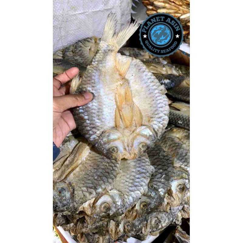 

Planet_Asin Tawes/Ikan asin tawes