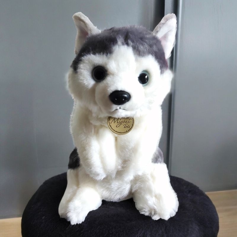 Boneka Anjing Siberian Husky Cantik