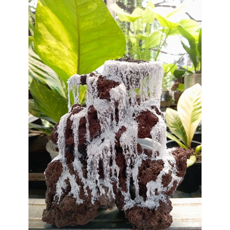 TEBING AIR TERJUN utk (aquascape/paludarium)