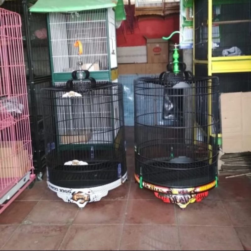 kandang burung murai merk ebod airbras terlaris