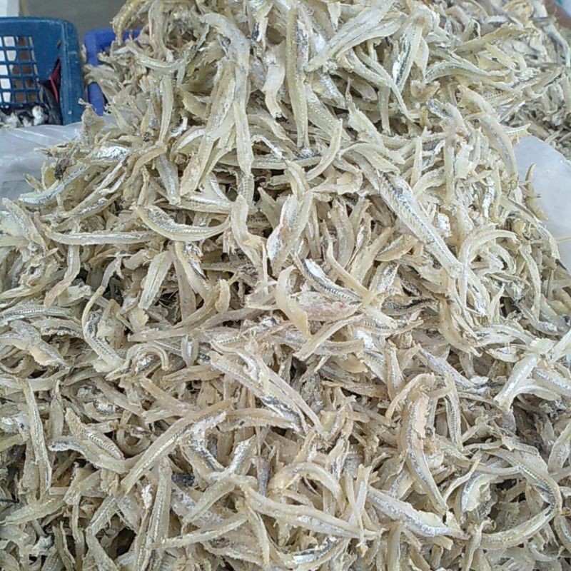 

ikan teri belah kemasan 10 ribu