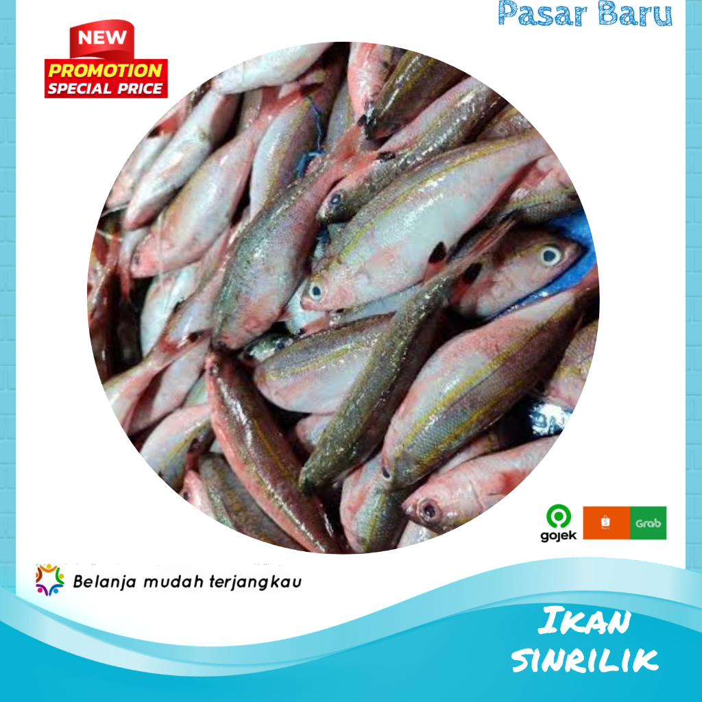 

Ikan Sinrilik • Isi 3-4 Tergantung Ukuran ✓ Murah | Pasar Baru Makassar