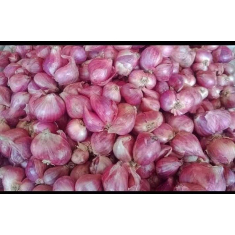 

bawang merah kering 500g