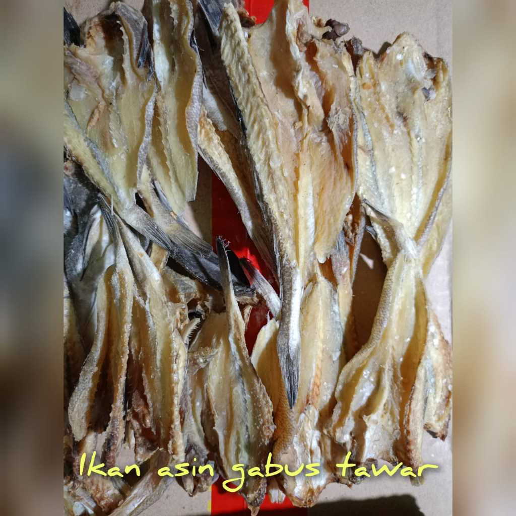 

Ikan Asin Gabus Tawar/ Ikan Siam/ Rutiang Kualitas NO 1 (Satu)