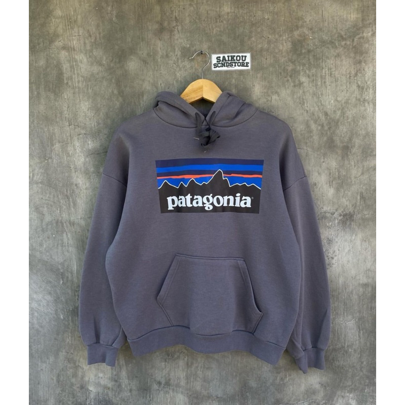 HOODIE PATAGONIA
