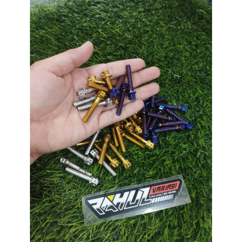 BAUT PROBOLT ORIGINAL UKURAN 10x3CM