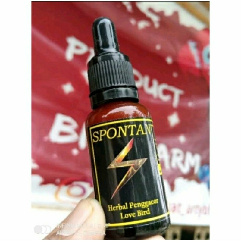 spontan ⚡️ gacor HD