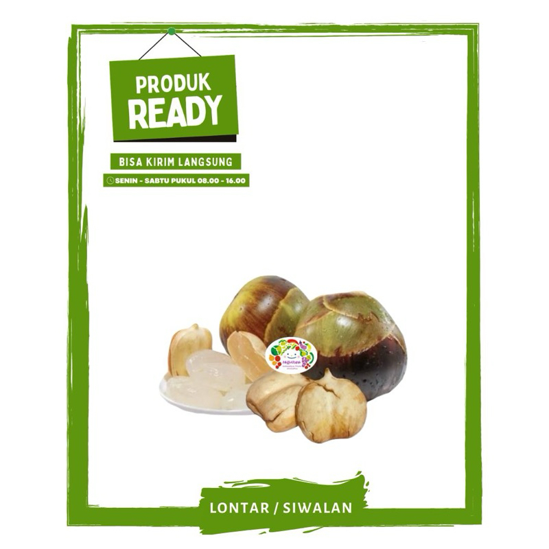 

Lontar / Siwalan Kupas / Buah Buahan Segar Ready On Mallahrizwa
