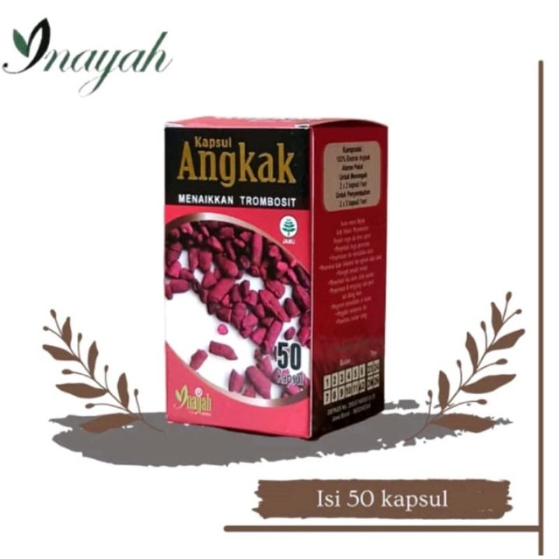 Kapsul Angkak | Beras Merah Original | Obat DBD