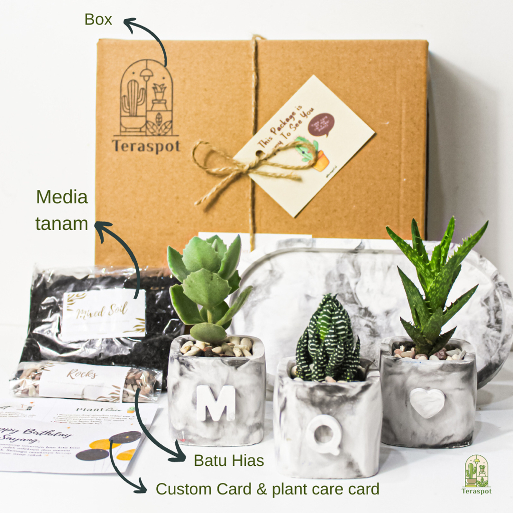 Gift Paket Pot Kaktus Sukulen -  DIY Planting Kit - Dekorasi ruangan - Hampers Birthday / Graduation