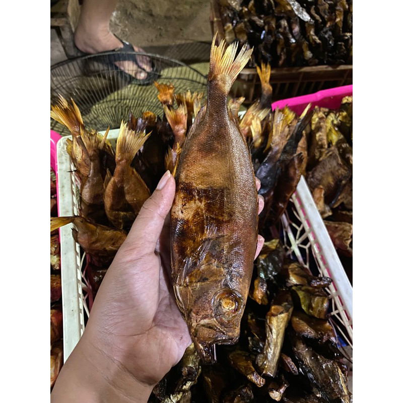 

5 PCS DEMAMG KONTING IKAN ASAP / PANGGANG