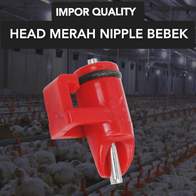 Kapsul Nipel Bebek Nipple Bebek J Lock Drinker Bebek
