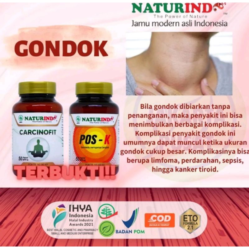 

Naturindo Pos K Herbal Obat Jamu Mengempiskan Benjolan, Pembengkakan Amandel Gondok ORIGINAL