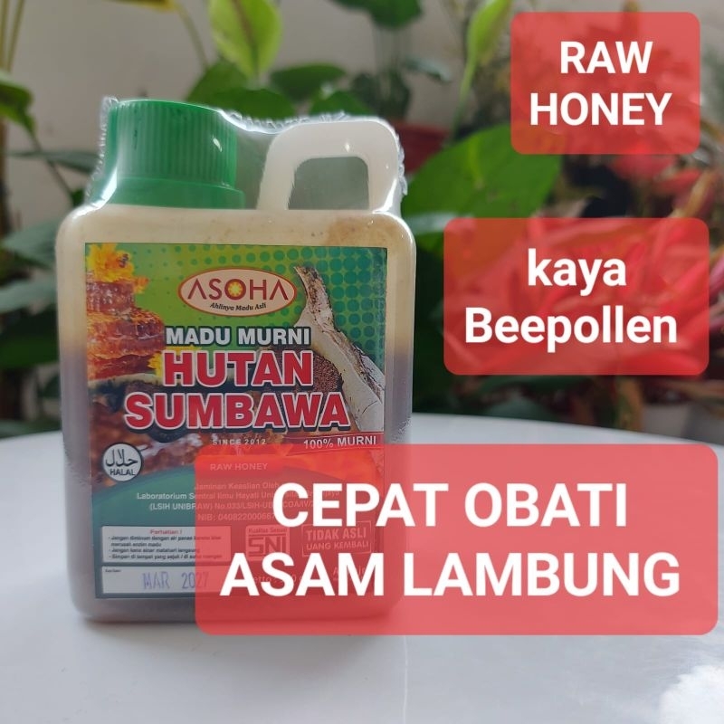 

ASOHA Madu Hutan Liar Sumbawa 1/2kg | Madu Asli | Madu Murni | Obati Asam Lambung