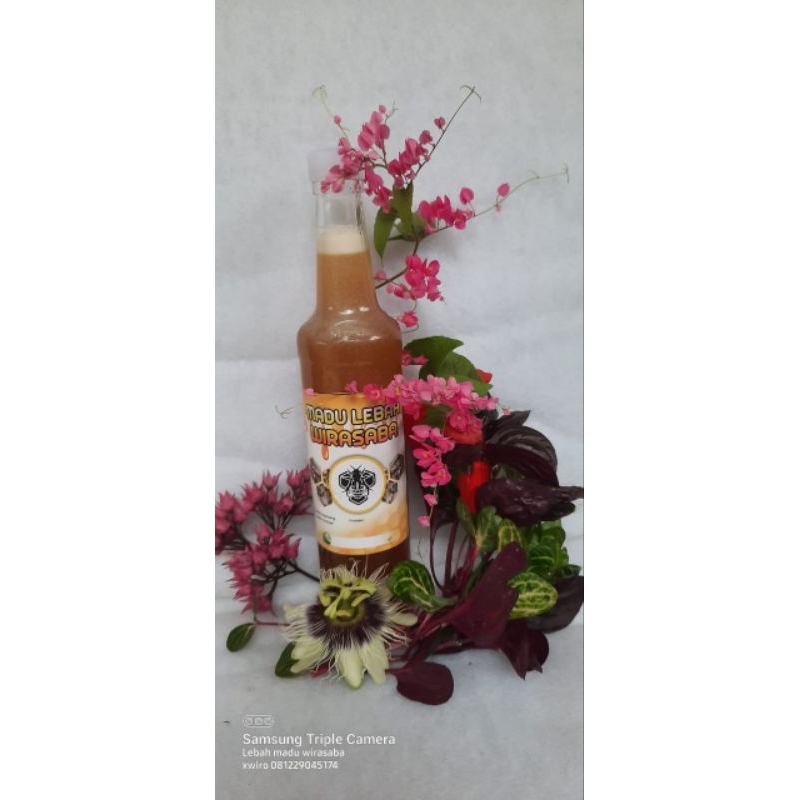 

Madu Klanceng