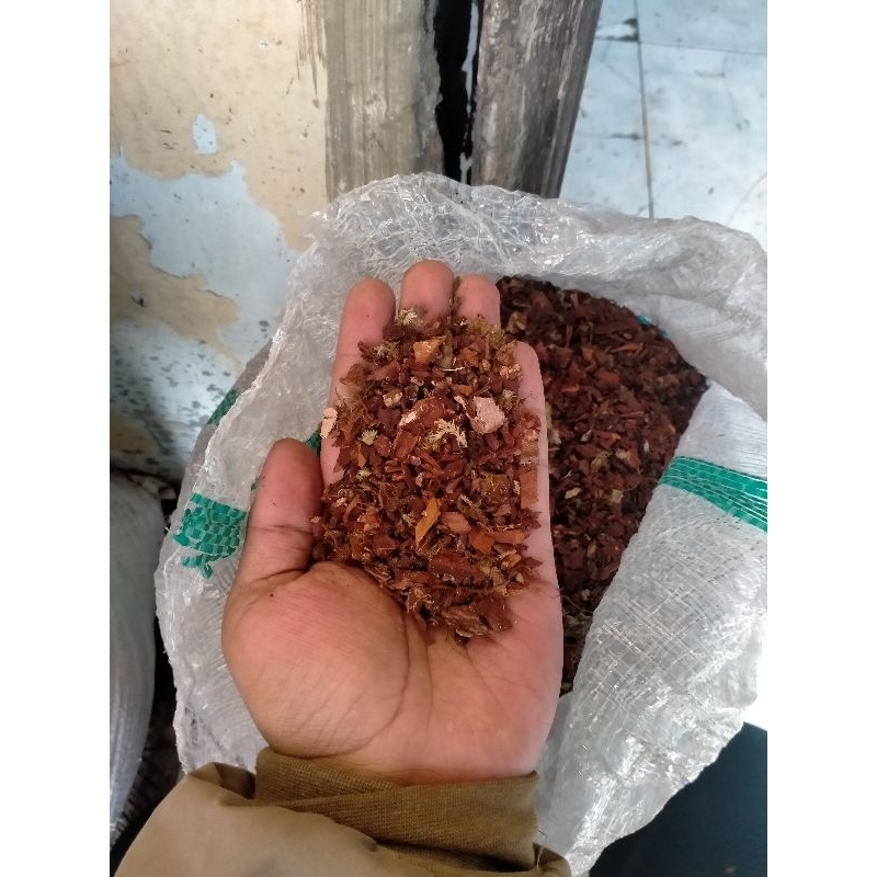 Pine bark (media tanam)