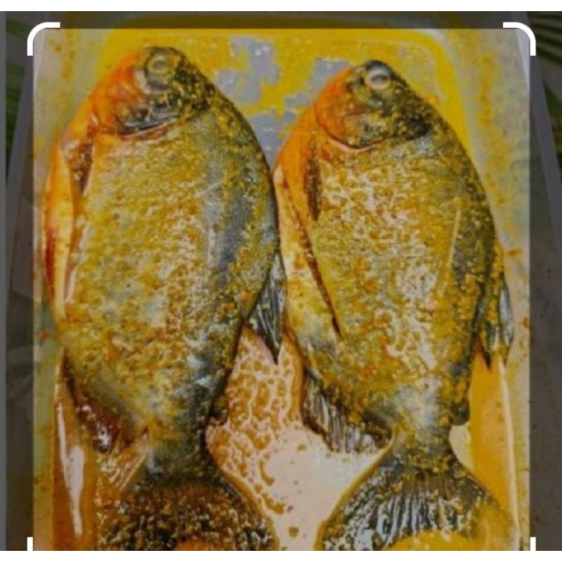 

Bawal bumbu kuning (isi 2-3 ekor)