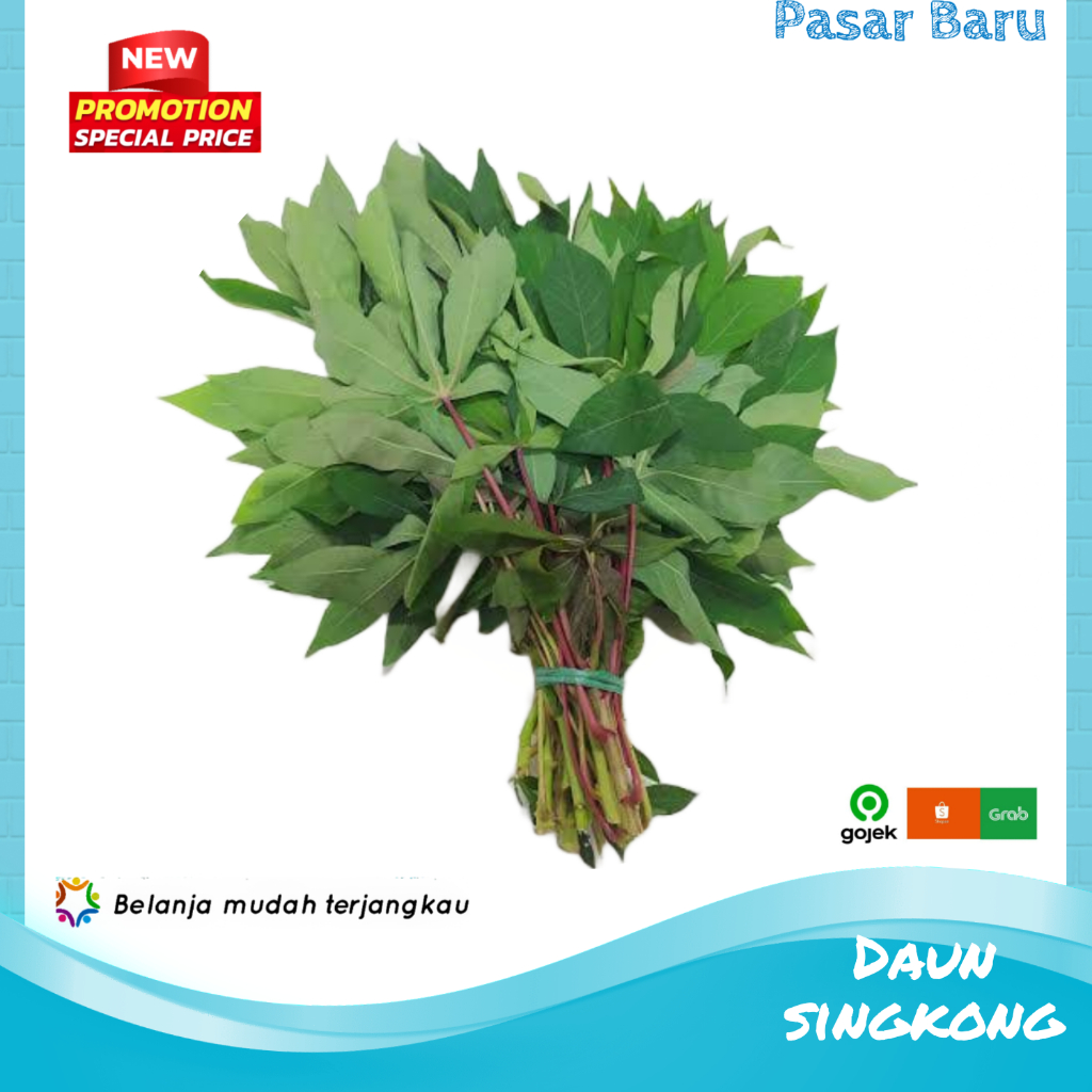 

Daun Singkong • 1Ikat ✓ Murah | Pasar Baru Makassar