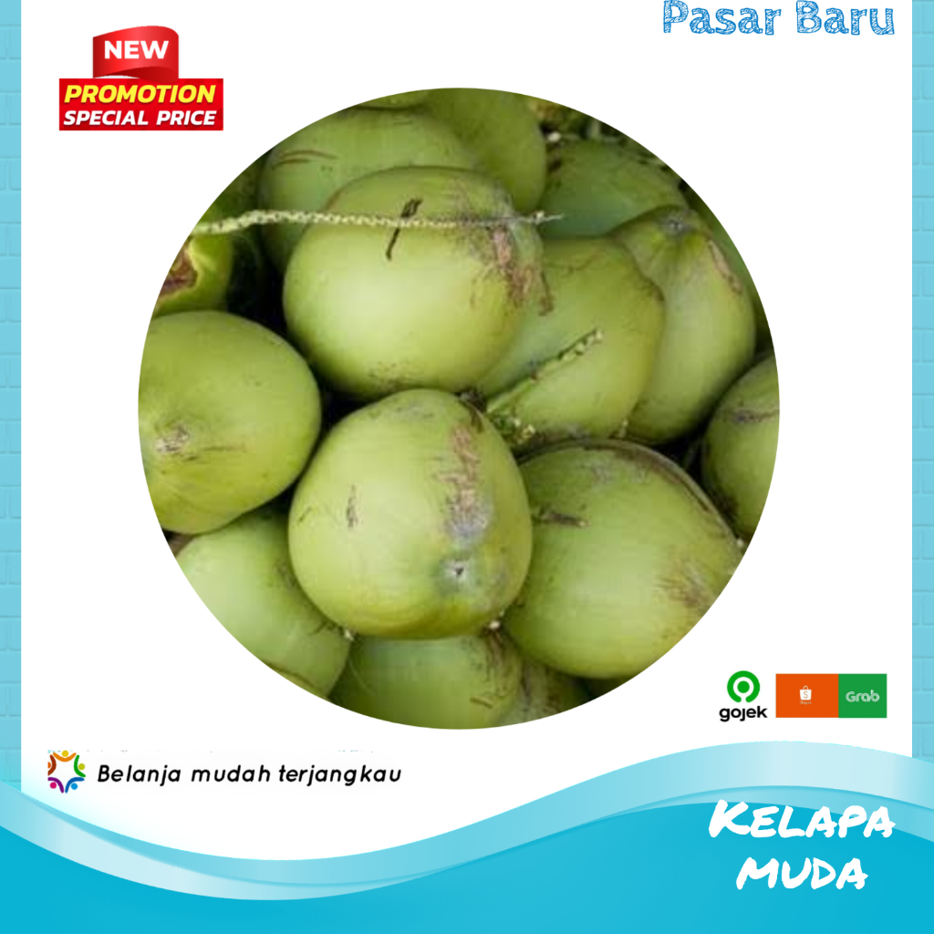 

Kelapa Muda • 1Bijinya ✓ Murah | Pasar Baru Makassar