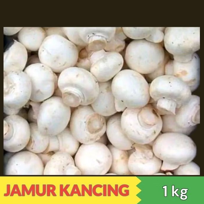 

JAMUR KANCING PUTIH JAMUR CHAMPIGNON FRESH 1 kg