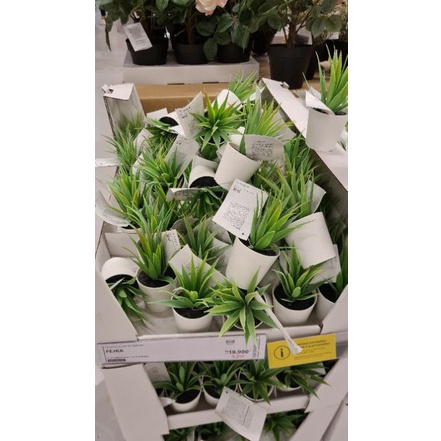 

NEW PROMO DRONJONS FILE ORGANIZER