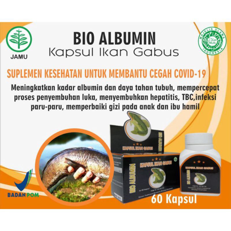 BIO ALBUMIN Ekstak Ikan Gabus 60 Kapsul