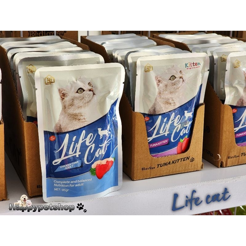 life cat tuna kitten