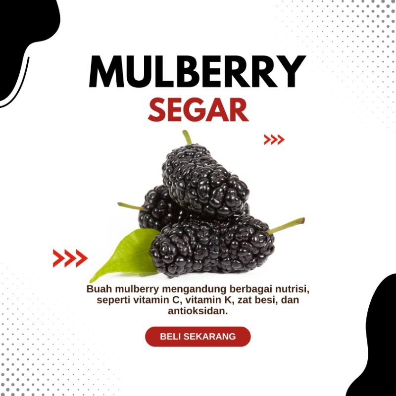 

BUAH SEGAR MULBERRY | MURBEI | BLACKMULBERRY