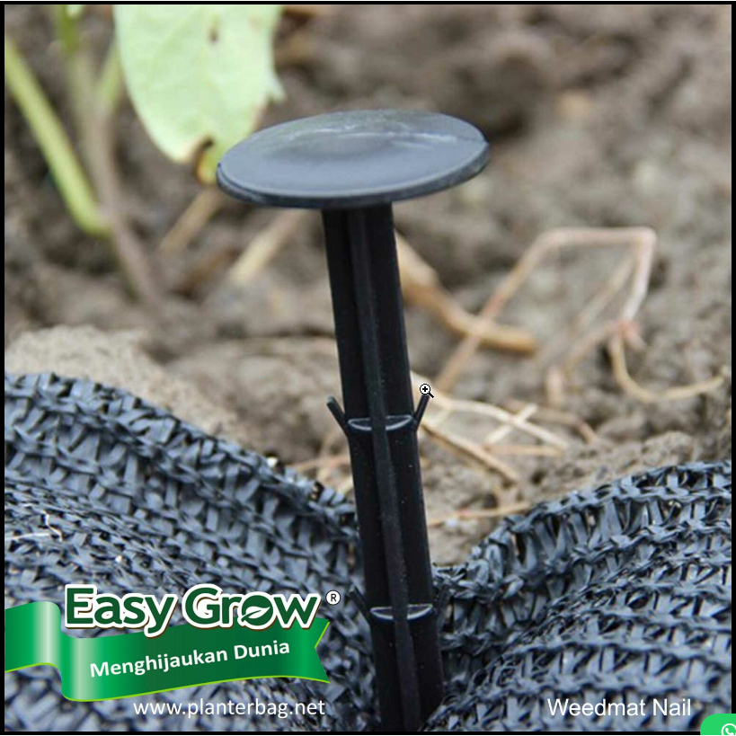 Paku Weedmat Easy Grow ukuran 3x16