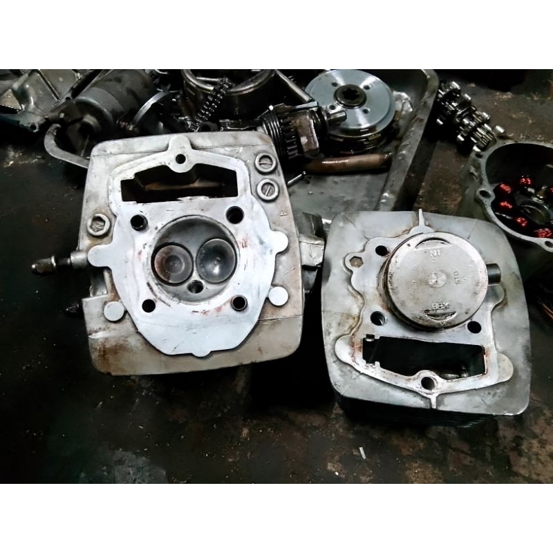 BLOK HEAD TIGER LAMA