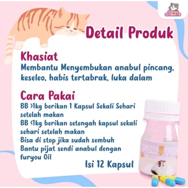 kjg Fur You Obat Luka Dalam Obat Kucing Luka Jatuh Tertabrak Luka Dalam Anabul Luka