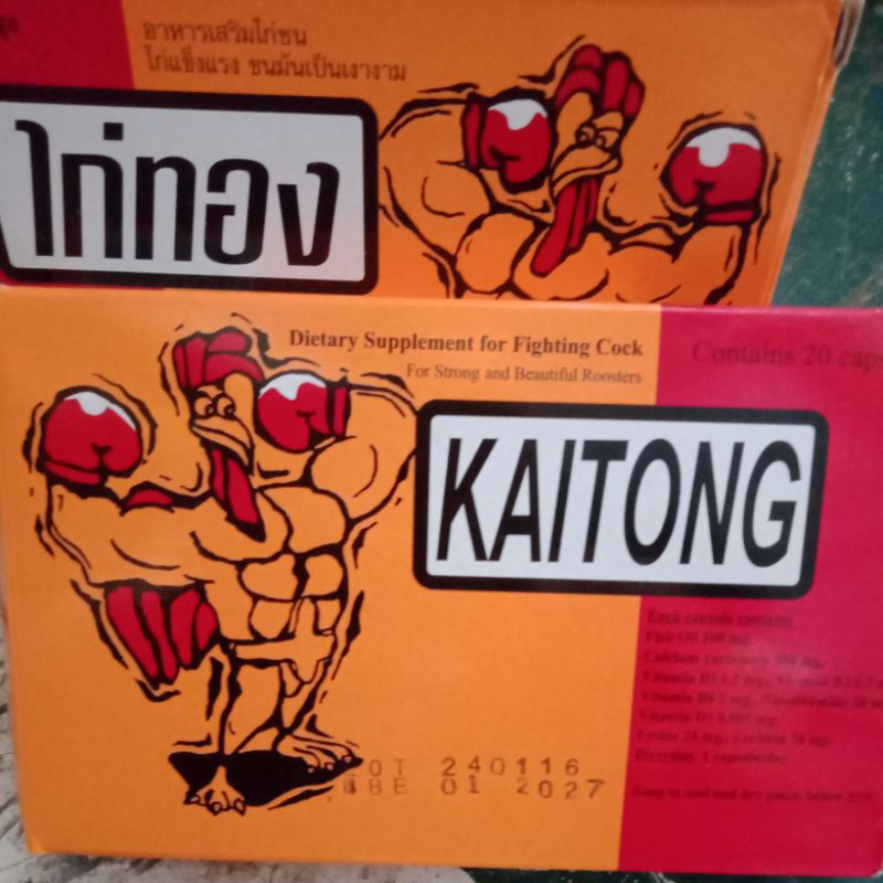 Kaitong Ayam Laga Original Thailand Suplemen Extra