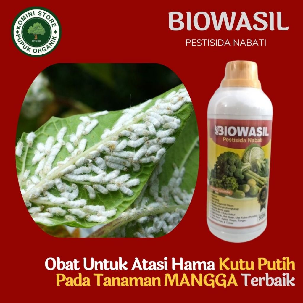 paling manjur cod BIOWASIL 500ML Pupuk pestisida kutu kebul pada Tanaman Mangga - Obat semprot kutu 