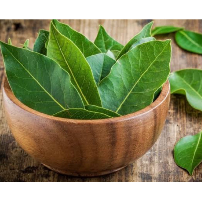 

Daun salam segar petik langsung 200 lembar-az