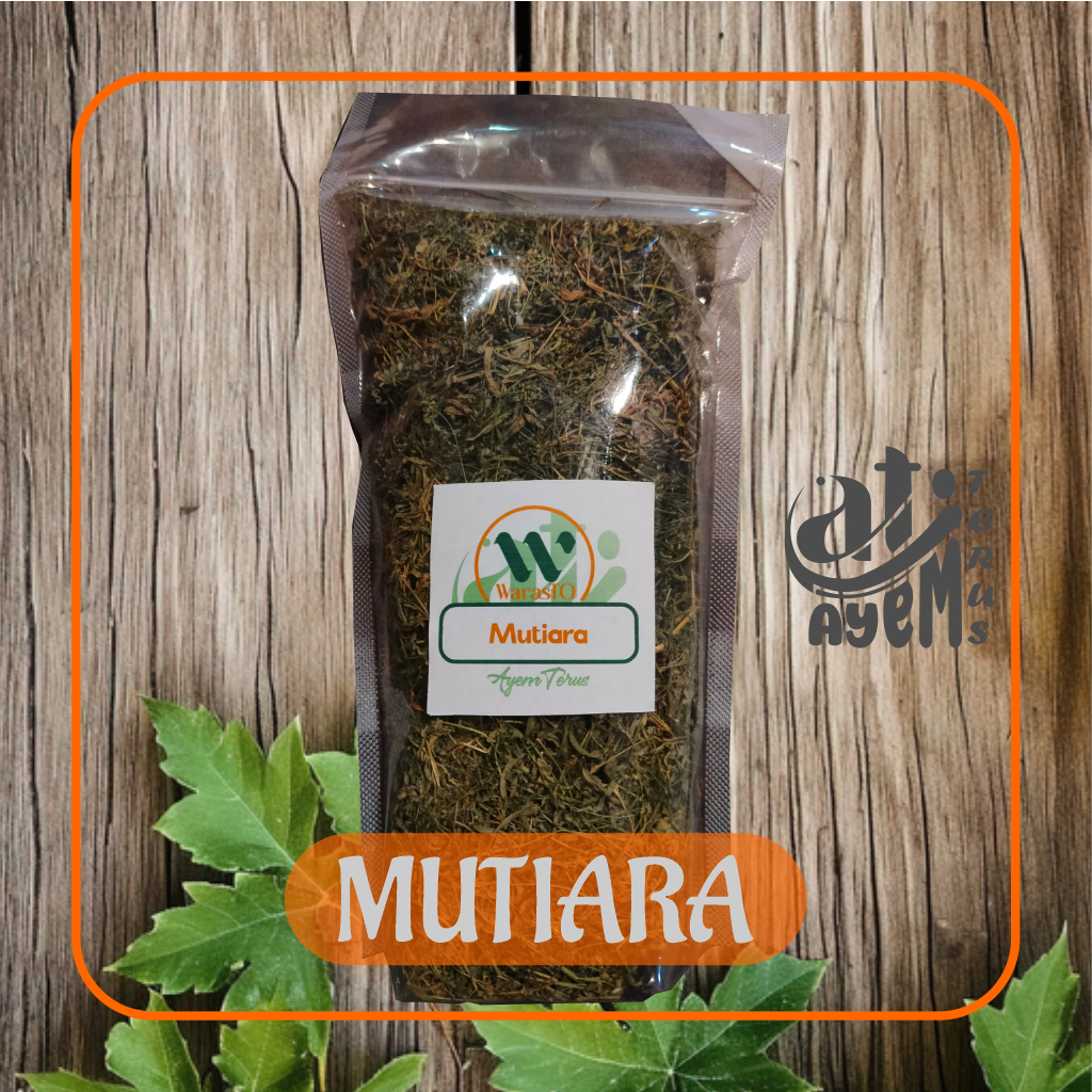 

Mutiara Kering Berkhasiat