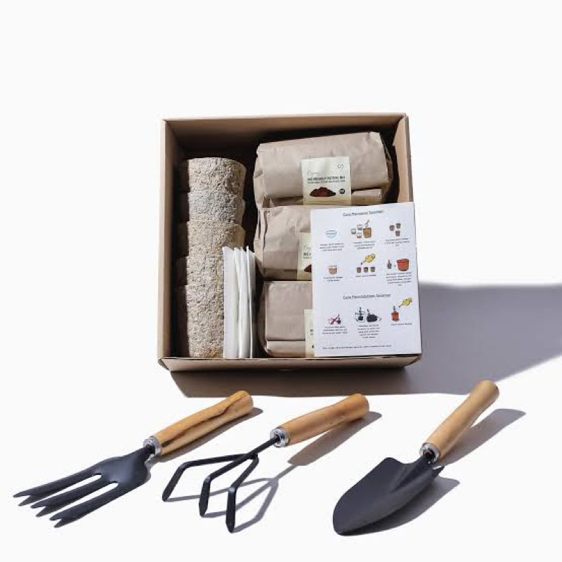 Paket  Bundling Tanam Lengkap Melon Premium Golden Inthanon