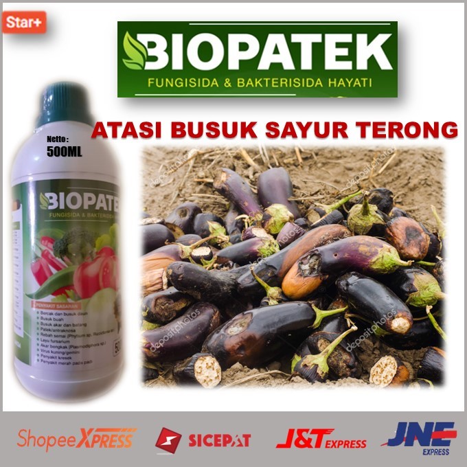 Harga Promo Pupuk Atasi Busuk Buah Terong Terbukti Secara Ampuh – Pupuk Cair Biopatek Fungisida & Ba