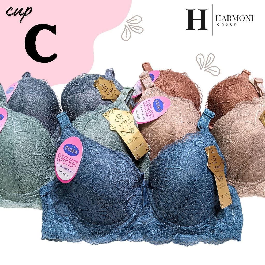 Bra Wanita Cup Besar Kawat FEMA 5528 6608 114 9901 BH Wanita Kait 3 CUP C Busa Tipis Size 36-42