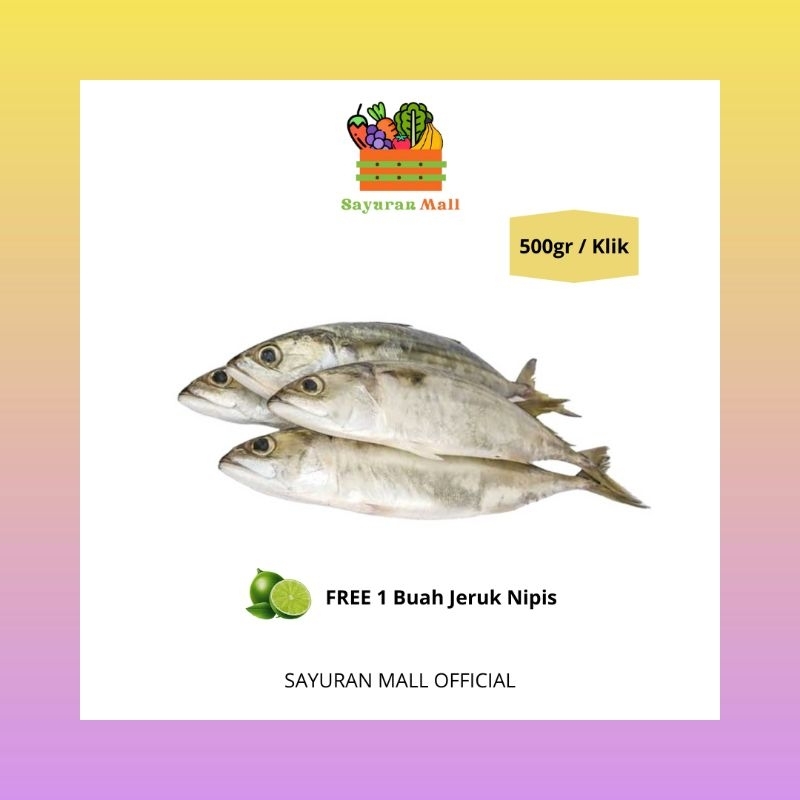 

500gr Ikan Gembung Aso | Ikan Segar | SAYURANMALL