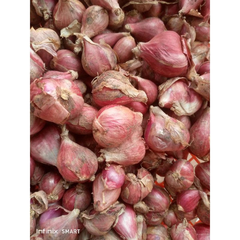 

bawang merah brebes pilihan 1/4kg (250 gr)