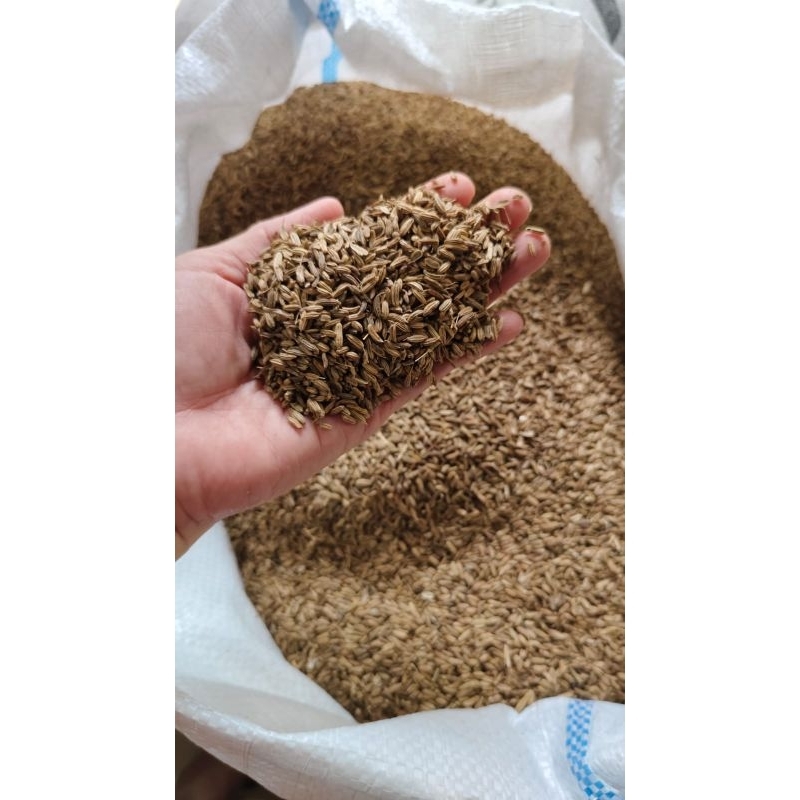 

Adas Manis | Fennel Seed | Bersih Premium Quality 100Gram