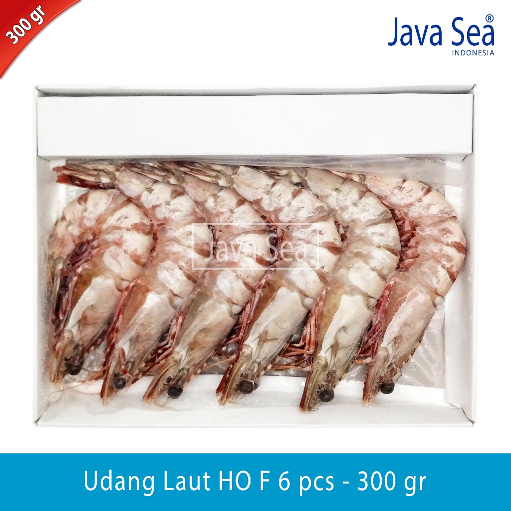 

Udang Laut Utuh Ada Kepala HO F-6 pack 300gr Java Sea