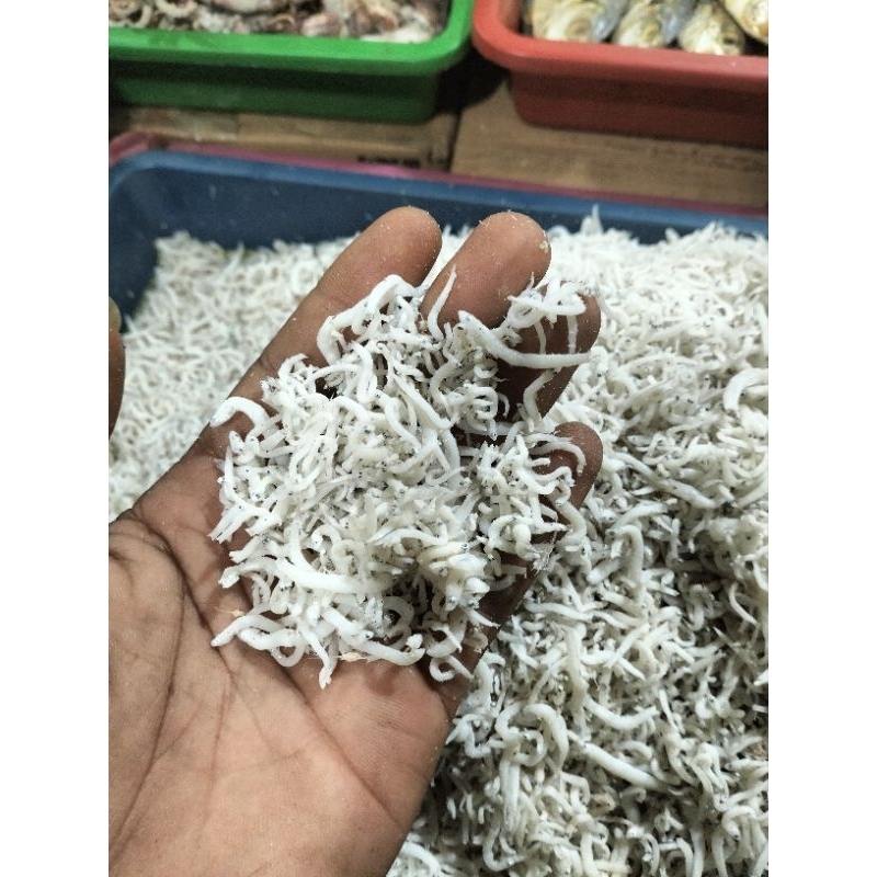 

Teri medan 250 gram